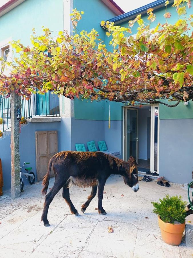 הוילה Vila Praia de Âncora Quinta Da Quinhas מראה חיצוני תמונה