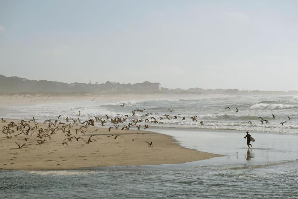 הוילה Vila Praia de Âncora Quinta Da Quinhas מראה חיצוני תמונה