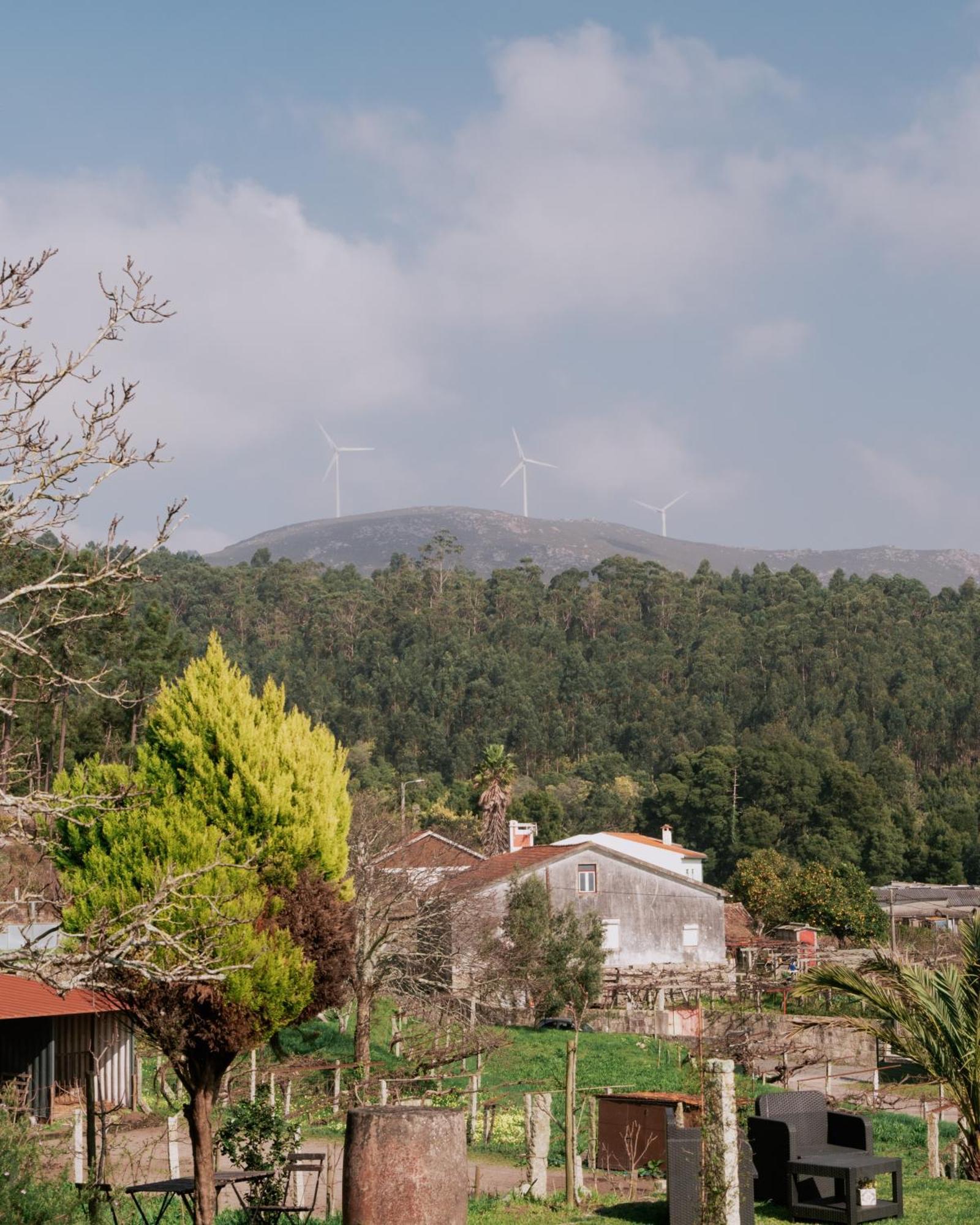 הוילה Vila Praia de Âncora Quinta Da Quinhas מראה חיצוני תמונה