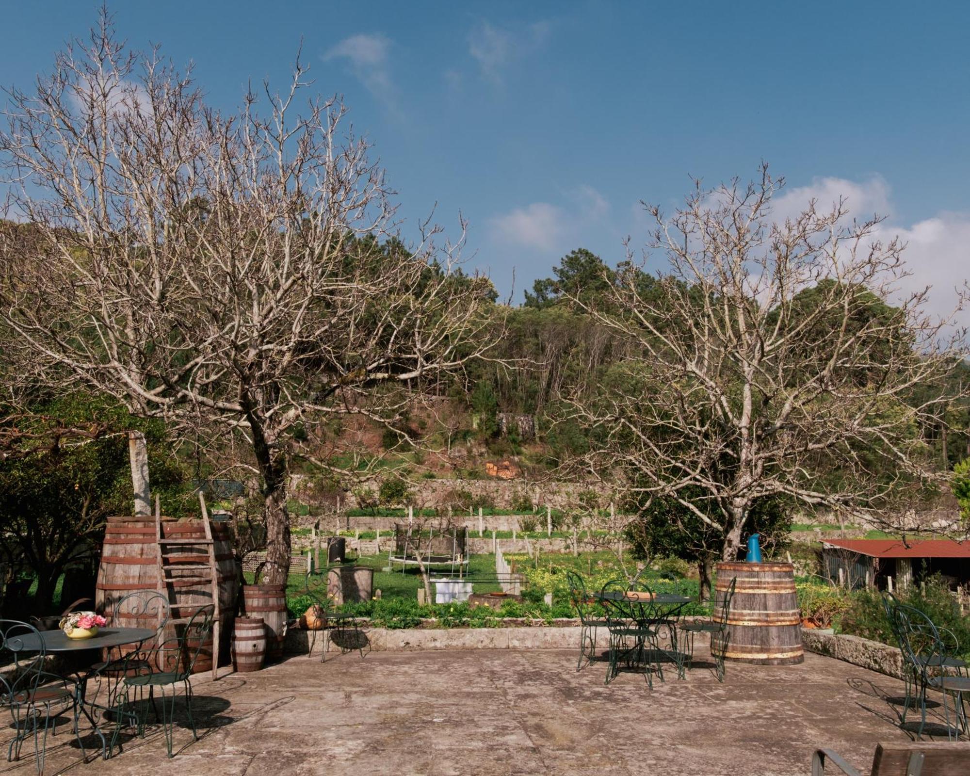 הוילה Vila Praia de Âncora Quinta Da Quinhas מראה חיצוני תמונה